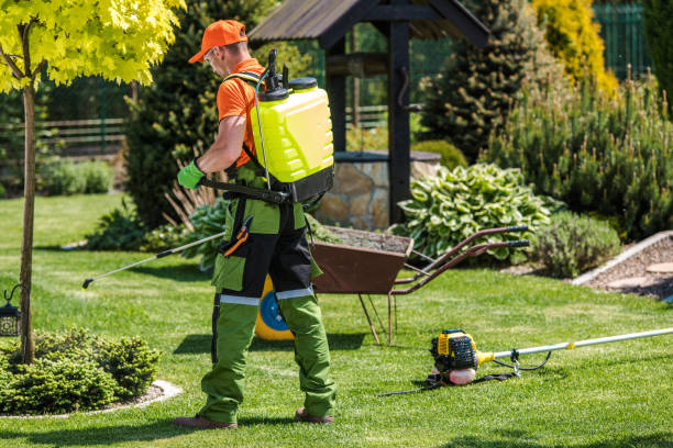 Best Bee and Wasp Removal  in Stewartville, MN